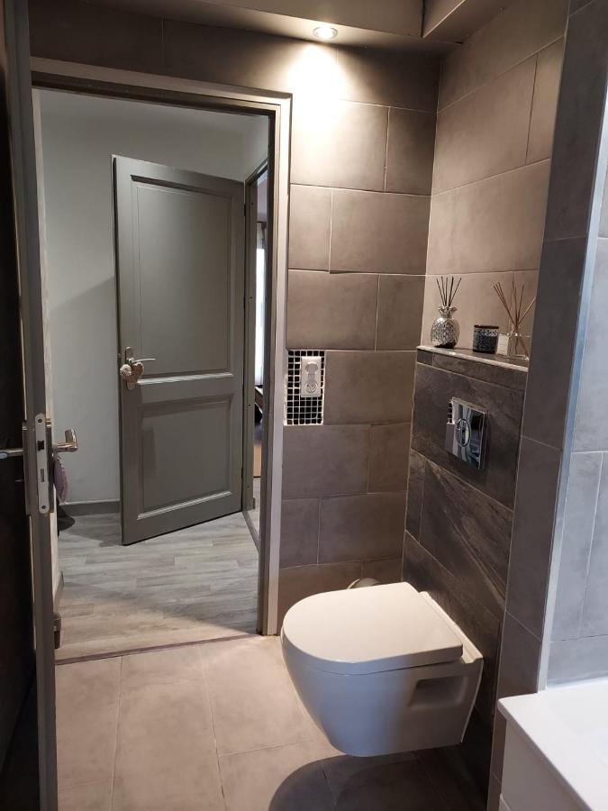 מולהאוס Residence Du Vieux Chateau Jardin & Parking Gratuit מראה חיצוני תמונה